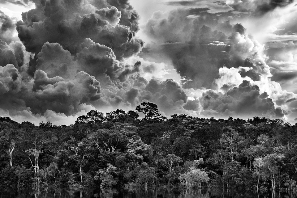 Arquipélago de Mariuá -  Médio Rio Negro. Estado do Amazonas -  Brasil -  2019 © Sebastião Salgado
