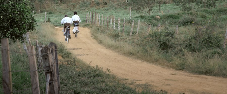 Filme_A-Luta